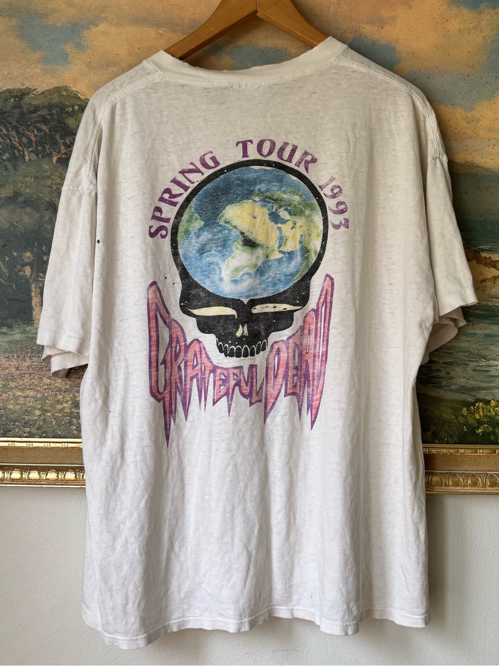 Vintage Grateful Dead Spring Tour 1993 T-Shirt
